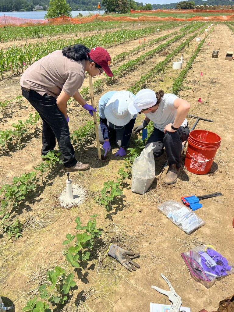 This photo presents Dr. Jagadamma, Dr. Chhetri and Dr. Wooliver installing the lysimeters in the field.