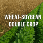 Image presents as a cover photo of wheat and soybean, with the text of wheat-soybean double crop.
